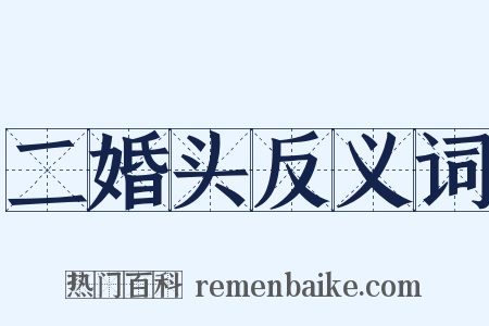 二婚头反义词是什么意思的图片